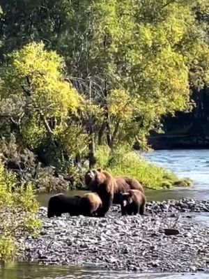 Сплав по реке Быстрой