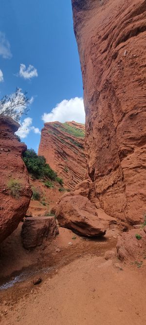 Заснеженные ущелья