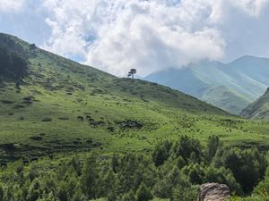 Квадрики и Чучхурские водопады