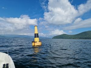 Остров Путятин, Лежбище Морских Львов