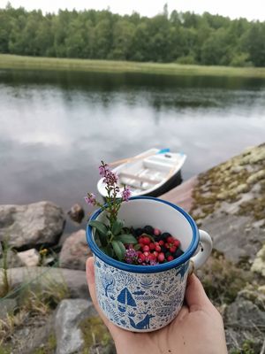 Знакомство с Ладогой и бухтой Импилахти