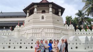 Слоны, Город Канди, Храм Зуба Будды