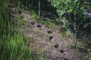 Переезд на север Камчатки
