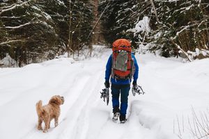 Озеро Сеньга, Крутовский заказник