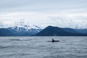 Морская прогулка к бухте Русской