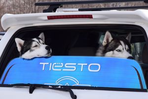 Резервный день на случай непогоды