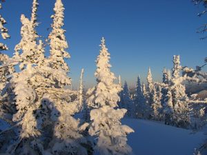 Катание в Шерегеше