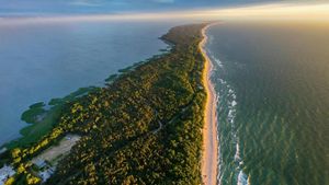 Музей кошек, Куршская коса, Высота Эфа, набережная