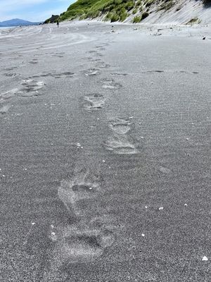 Полуостров Чирип, Белые скалы