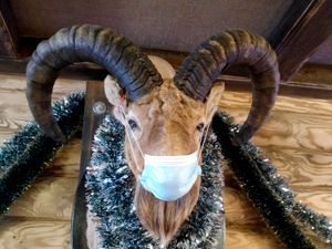 Вновь на склоны