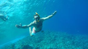 Отдых На Море