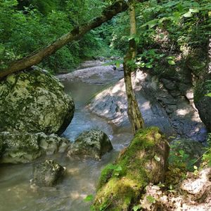 Треккинг в ущелье и на водопады Руфабго