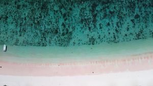 Разлетаемся по домам