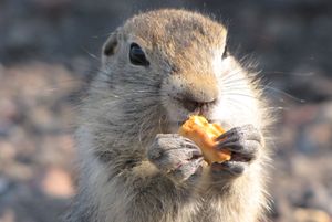 Рыбный рынок. Вылет