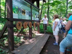 Пешеходная экскурсия по экзотическим каньонам