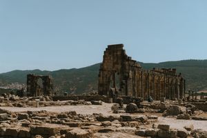 Дегустация Premier Cru вина