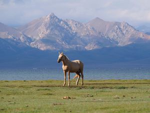 ОЗЕРО СОН-КУЛЬ
