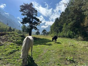 Алагирское ущелье