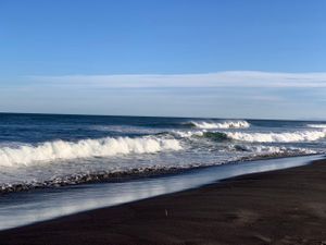 Рыбный рынок. Вылет