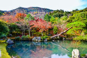 Технологичная Нагоя или уютный Район Арасияма