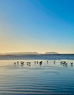 День У Океана