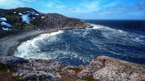 Териберка. Олени. Мурманск