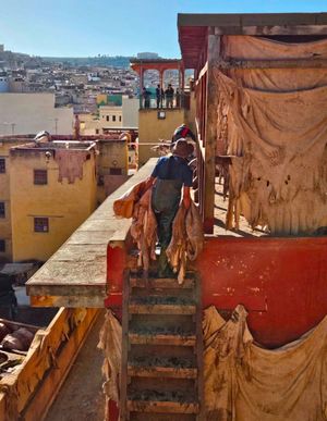 Запутанная История