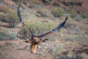Чолпон-Ата - Семеновское и Григорьевское ущелья