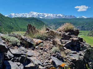 Прочь от цивилизации