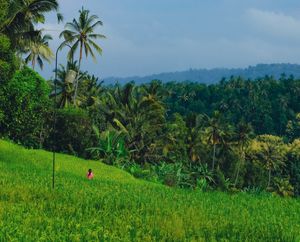 Куда?? - В Мундук