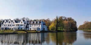 Харлем, Собор святого Бавона, национальный парк