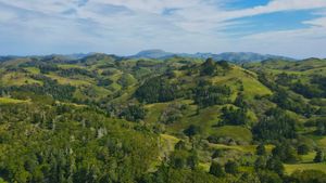 Бухта Снежкова