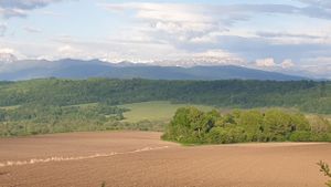Вода целительская сила