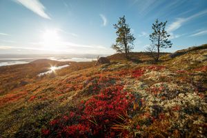 От Белого моря до Баренцева
