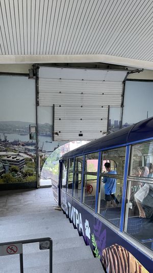 Приморский Сафари Парк