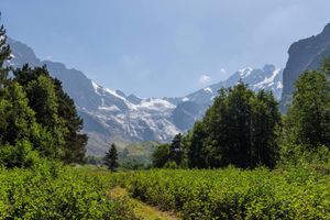 Владикавказ Цей Мамисон