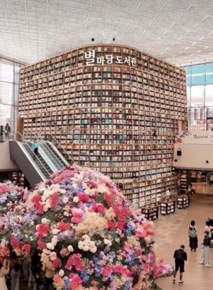 Кулинарный мастер класс и район Каннам