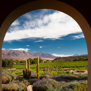 Кафаяте: долина виноградников