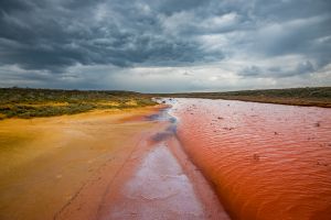 Гора Богдо - Богдинско-Баскунчакский заповедник