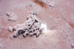 Поющий бархан, Меклетинское розовое озеро