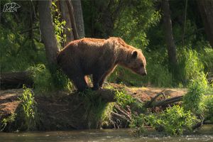 Запасной день