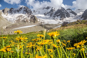 Сказочная Дигория