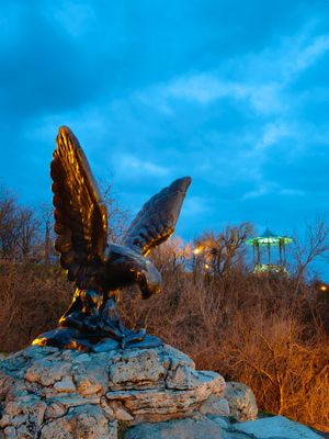 Отъезд домой