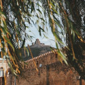 Мцхета, Джвари, Боржоми