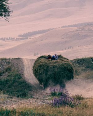 Маршрут «Завтра лето. Сегодня весна» - пройден