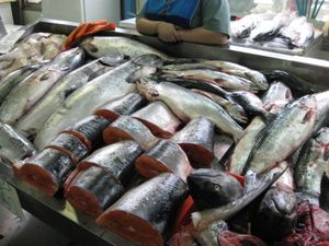 Возвращение домой