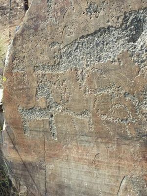 Навстречу приключениям