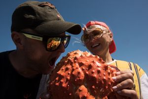 Здравствуй, Камчатка