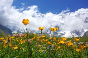 Поход в ущелье Безенги. Водопад Жигинджи