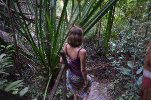 Национальный парк Бако